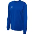 Hummel Authentic Co Training Collegegenser