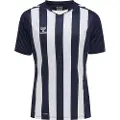 Hummel Core Xk Striped Kortarmet T-skjorte