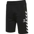 Hummel Ray 2.0 Shorts