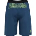 Hummel Lead Pro Training Shorts