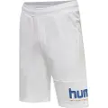 Hummel Legacy Manfred Shorts