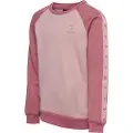 Hummel Wulbato Collegegenser
