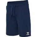 Hummel Rush Shorts