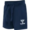 Hummel Azur Shorts