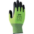 Uvex C500 foam, Sort, Grønn, Voksen, Voksen, Unisex, 1 stykker, Polyethylen, Viskose, Polyamid, Fiberglass