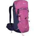 TROLLKIDS Fjell 22l Ryggsekk