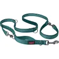 Company of animals Anatomy Multi Line Teal Small
