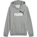 Puma Ess 2 Color Nº 1 Logo Hettegenser