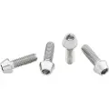 Wolf Tooth Titanium Standard Head Raw Flaskeholder Skruer
