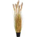House Nordic House NordicKunstig plante Durra. Plante av PE-plast.GrønnKunstige planter & blomsterFra Homeroom