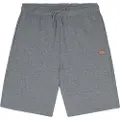Dickies Mapleton Shorts