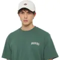 Dickies Hardwick Denim Cap