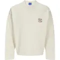 Jack & Jones Retiro Back Se25 Collegegenser