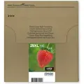 Epson Multipack 29XL (T2991-T2994)