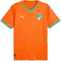 Puma Côte d'Ivoire 2025 Home Jersey Men, Clothing, Rickie Orange/Jade Frost, XXL
