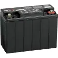 Enersys Genesis 12EP13 Blybatteri 12 V 13 Ah Blyfleece (B x H x T) 176 x 130 x 83 mm M6 skruetilslutning Vedligeholdelsesfri, Lav selvafladning