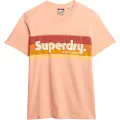 Superdry Terrain Logo Stripe Relxed Kortarmet T-skjorte