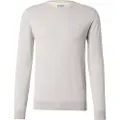 Scotch & Soda Seasonal Core Collegegenser
