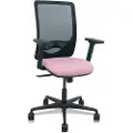 Piqueras Y Crespo Zulema Synchro Arms 2d Ergonomisk Kontorstol