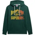 Superdry Mountain Rainbow Hettegenser