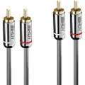 Lindy 35344, 2 x RCA, Hankjønn, 2 x RCA, Hankjønn, 0,5 m, Antrasitt
