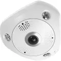 LevelOne Domo Ipcam Fcs-3095 Overvåkningskamera