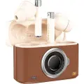 Onikuma Bluetooth In-Ear-hodetelefoner T18 Brown