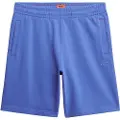 Superdry Essential Logo Ub Sports Shorts