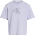 Calvin Klein Jeans Metallic Kortarmet T-skjorte