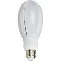 Nasc NASCAR LED Oval Gårdsplass pære 24W E27 3000K