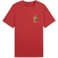 Puma Road To Unity Graphic Kortarmet T-skjorte