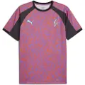Puma Neymar Jr Creativity Football Jersey Men, Clothing, Soft Violet/Dark Coal, XL