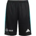 Adidas Mercedes Amg Petronas F1 Team Shorts