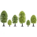 Noch Deciduous Trees, Grønn