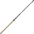 13 Fishing Omen Quest Baitcastingstang