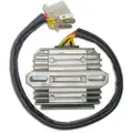 Tecnium 02334-0e Regulator/likeretter