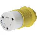 PLASTIMO Ip20 Kontakt 16a 230v