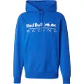 Red Bull Racing Team Logo Hettegenser