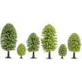 Noch Deciduous Trees, Brun, Grønn