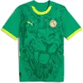 Puma Senegal 2025 Away Jersey Men, Clothing, Sport Green/Electric Lime, S