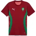 Puma Morocco Pre-match Jersey Men, Sport, Intense Red/Archive Green, L