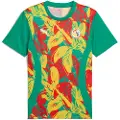 Puma Senegal 2025 Pre-match Jersey Men, Sport, Sport Green/Faster Yellow/Red, XS