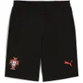 Puma Portugal ftblNRGY Shorts Men, Sport, Black, XXL