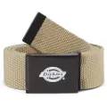 Dickies Orcutt Webbing Belte