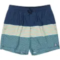 Billabong All Day Stripes Lb Kids Boardshorts blå