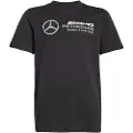Adidas Mercedes Dna Amg Petronas F1 Team Kortarmet T-skjorte