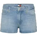 Tommy Hilfiger Dw0dw20089 Korte Jeans