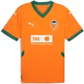 Puma Valencia Cf 24/25 Tredje Kortarmet T-skjorte