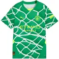 Puma Manchester City 24/25 Goalkeeper Jersey Youth, Clothing, Grassy Green/Yellow Alert, 7-8Y