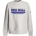 Red Bull Racing Dynamic Fade Collegegenser